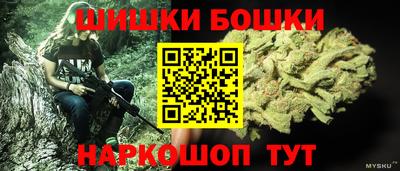 индика Будённовск