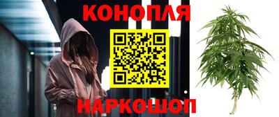 индика Бузулук