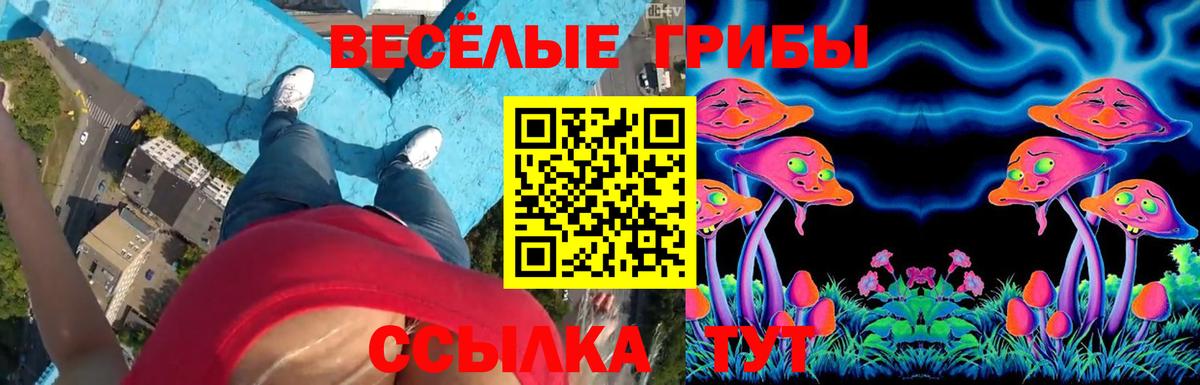 Псилоцибиновые грибы мухоморы Шуя
